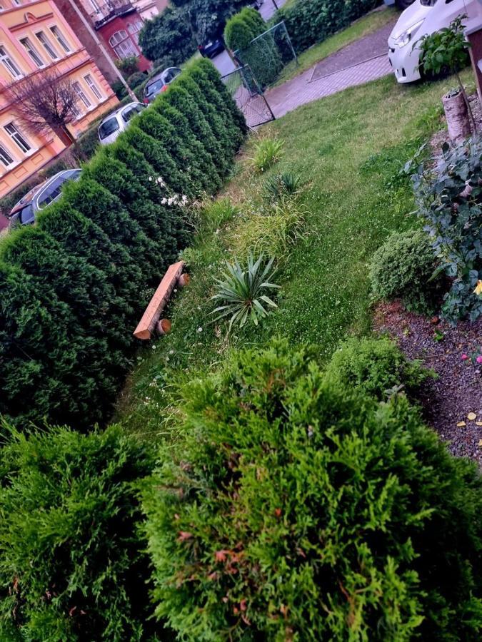 Apartament Lux Lemon Jelenia Góra Εξωτερικό φωτογραφία