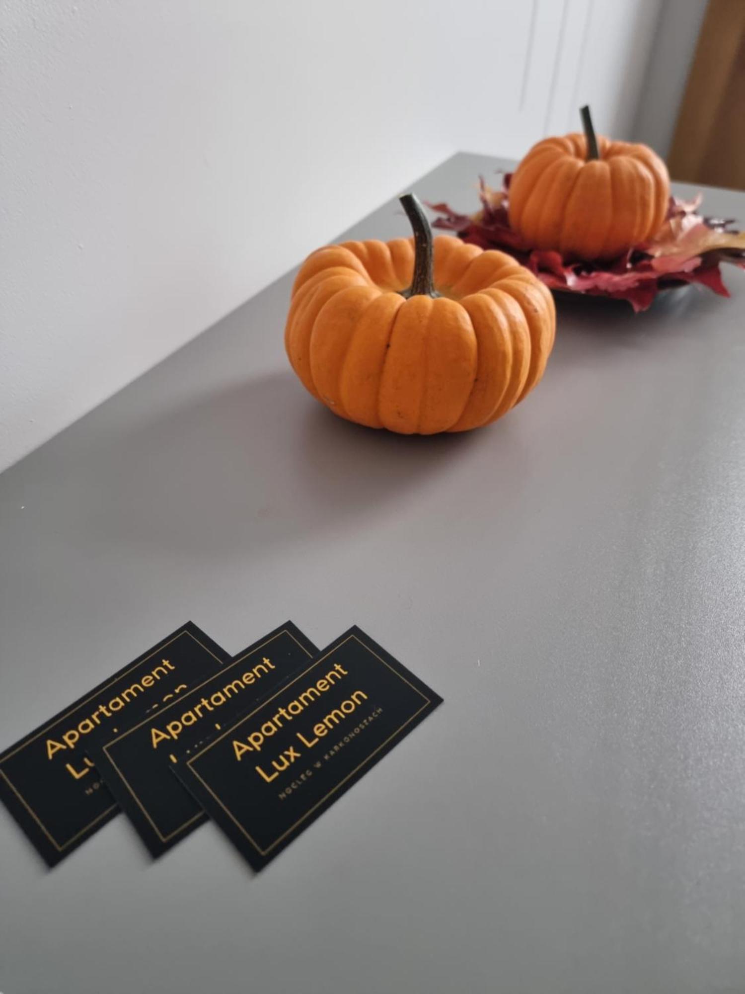 Apartament Lux Lemon Jelenia Góra Εξωτερικό φωτογραφία