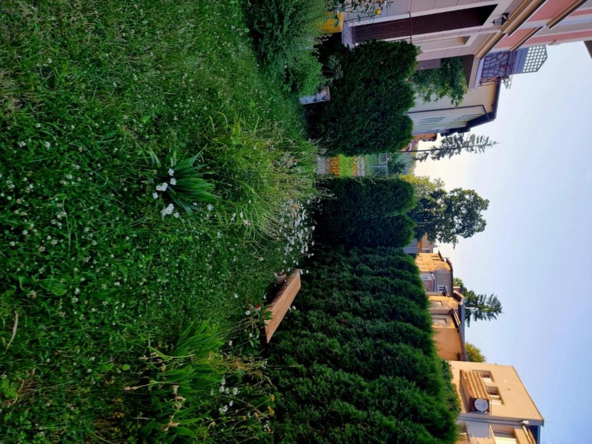 Apartament Lux Lemon Jelenia Góra Εξωτερικό φωτογραφία