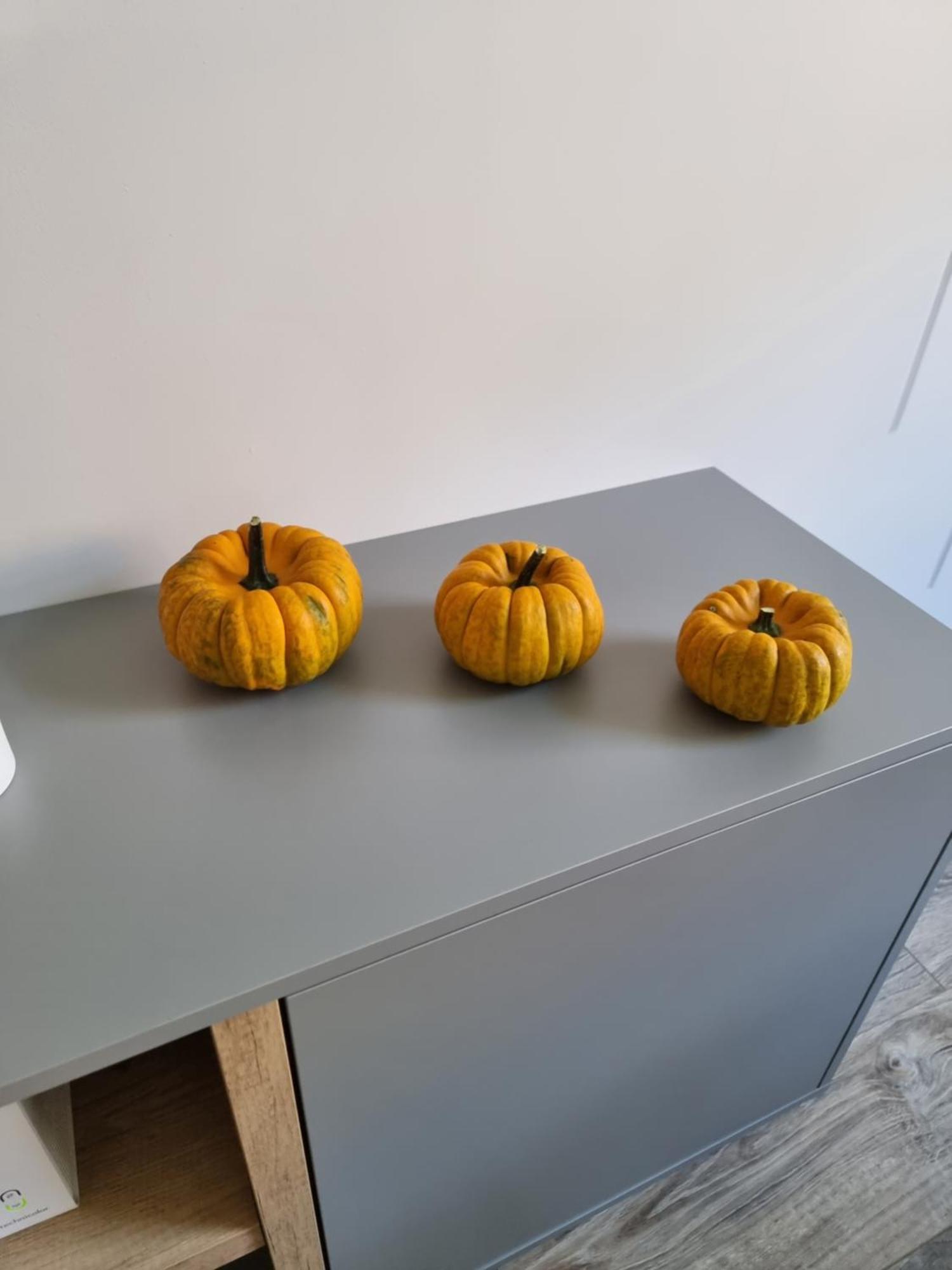 Apartament Lux Lemon Jelenia Góra Εξωτερικό φωτογραφία