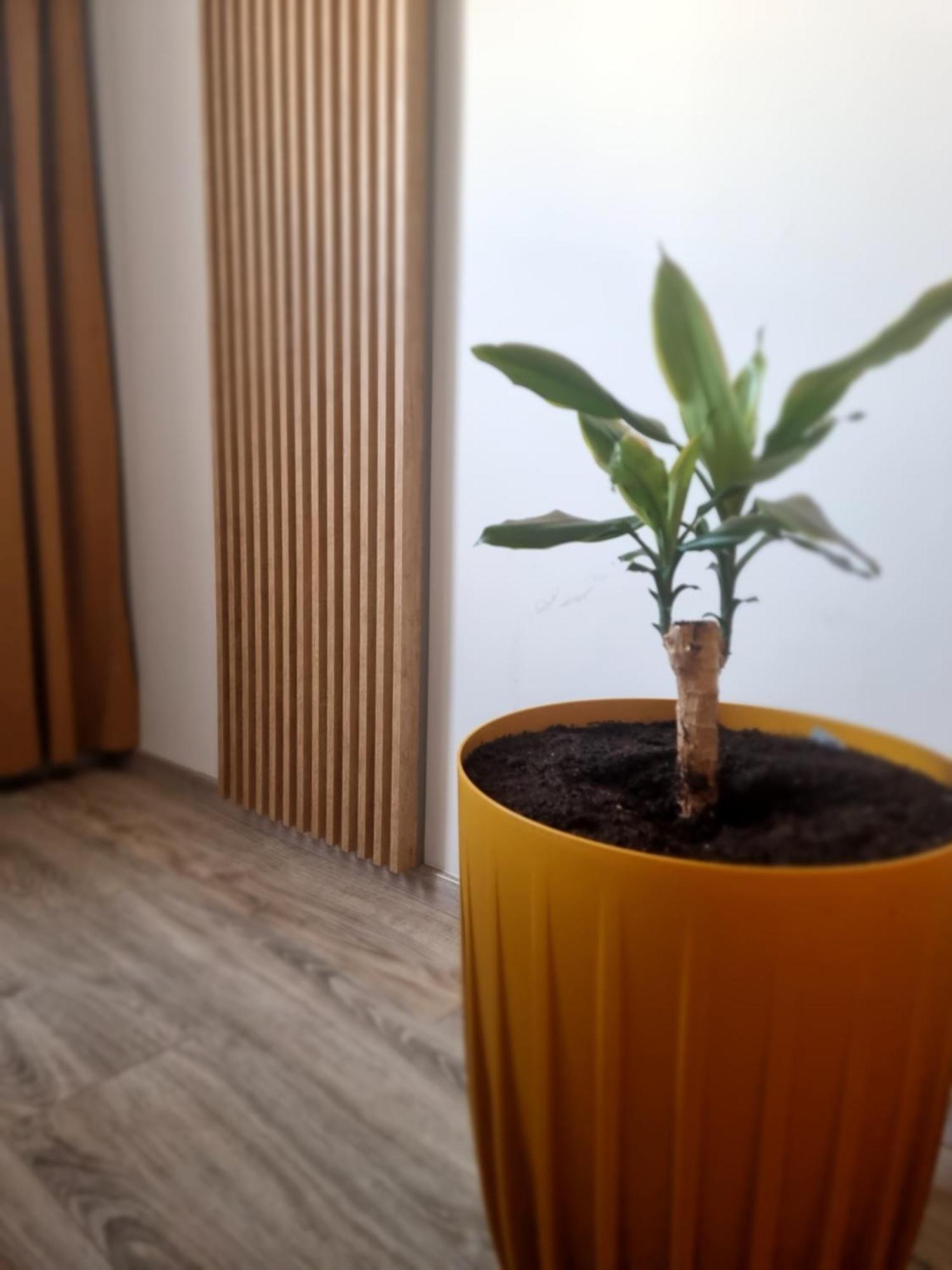 Apartament Lux Lemon Jelenia Góra Εξωτερικό φωτογραφία